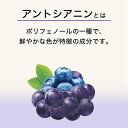 伊藤園 ブルーベリーぶどうmix 紙パック 200ml 野菜ジュース 果汁飲料 缶飲料 ボトル飲料