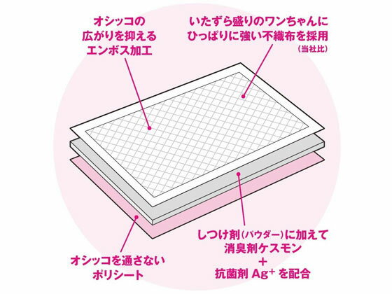 【マラソン限定★2,000円クーポン＆ポイント2倍】【お取り寄せ】ボンビアルコン し...