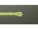 【マラソン限定★2000円クーポン&ポイント2倍】【お取り寄せ】issei 海太郎 スパテラ 2.5 #010 チャート(グロー) ライトソルトルアー ワーム ...
