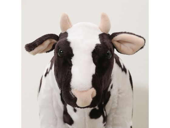 【マラソン限定クーポン★11日9:59迄ポイント2倍】【メーカー直送】不二貿易 ウシ(ワールドマップ) 8981-31(82470) 47302【代引不可】オットマン 足置き台 ソファ イス リビング家具 インテリア [3]