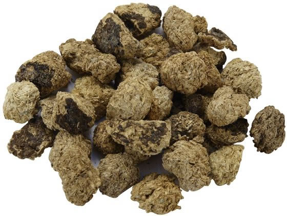 �ڳ�ŷ�����ѡ�SALE������ݥ����2�ܡ�2,000�ߥ����ݥ�ۡڤ����󤻡ۻ������� ��������� ���ܶ����ա��� 085 ����ա��� ���� �Ƶ��Τ� �ڥå� ���֥ȥॷ ���塞��