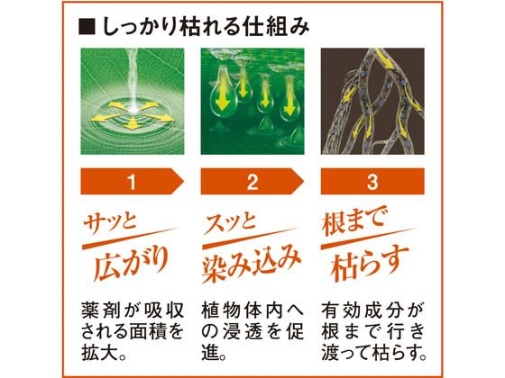 �ڥ�ӥ塼��Ƥ�100��OFF�����ݥ�ۥեޥ��顼 ���å����������� 1L