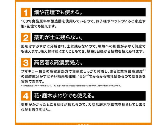 �ڥ�ӥ塼��Ƥ�100��OFF�����ݥ�ۡڤ����󤻡ۥեޥ��顼 �ӥͥ������顼 2L