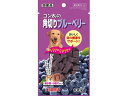 【マラソン限定★2000円クーポン&ポイント2倍】【お取り寄せ】マルカン ゴン太の角切りブルーベリー 100g SKG-001 おやつ 犬 ペット ドッグフード