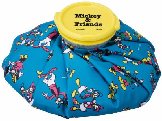 【レビュー投稿で100円OFFクーポン】スケーター アイスバッグ M ミッキー&フレンズ ICB2 キャラクター..