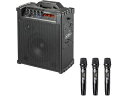 【レビュー投稿で100円OFFクーポン】【お取り寄せ】サンワサプライ ワイヤレスマイク付き拡声器スピーカー MM-SPAMP16 拡声器 マイク オーディオ ヘ...