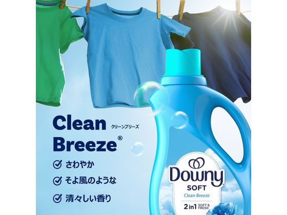 【マラソン限定★ポイント2倍】ダウニー ウルト...の紹介画像3