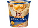 【商品説明】クラムのうまみがとけこんだポタージュに、こんがり焼きあげたパンが入った濃厚クラムポタージュです。濃厚ポタージュがパンにじゅわ〜っとしみこんだおいしさで、ほっとくつろぐことができます。【仕様】●注文単位：1個【備考】※メーカーの都合により、パッケージ・仕様等は予告なく変更になる場合がございます。【検索用キーワード】ポッカサッポロ　ぽっかさっぽろ　ポッカサッポロ　PokkaSapporo　じっくりコトコトこんがりパン濃厚クラム　じっくりことことこんがりぱんのうこうくらむ　ジックリコトコトコンガリパンノウコウクラム　25．3g　カップ　個　クラム　インスタント食品　スープ　インスタント・レトルト食品　おみそ汁、スープ　R646HGクラムのうまみがとけこんだポタージュ