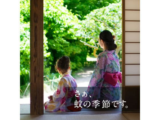 �ڳ�ŷ�����ѡ�SALE������ݥ����2�ܡ�2,000�ߥ����ݥ�ۥ��������� �������Ρ��ޥå� ���� ���ؤ��ܥȥ� 60���� ̵���� 2�� �֤��������� ����� ���� �����