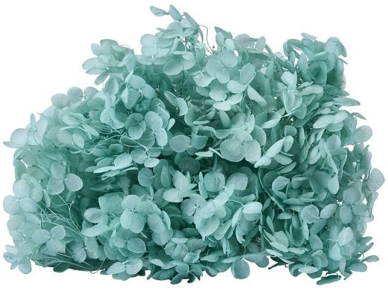 【レビュー投稿で100円OFFクーポン】【お取り寄せ】東京堂 プリザーブドフラワー ソフトあじさいアナベル ペパーミント インテリア 枯れない 観葉植物 花材 フラワーアレンジメント フェイクフラワー フェイクグリーン 造花 店舗装飾 花材 プリザーブドフラワー 花