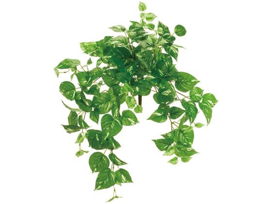 【レビュー投稿で100円OFFクーポン】送料無料【お取り寄せ】東京堂 造花 エクステリアポトスバイン ＃23 LT.GR インテリア 枯れない 観葉植物 花材 フラワーアレンジメント フェイクグリーン 店舗装飾 葉もの グリーン 造花 花 フラワーアレンジメント材料