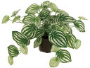 【お取り寄せ】東京堂 造花 ペペロミアポット GREEN インテリア 観葉植物 花材 フラワーアレンジメント フェイクグリーン 造花葉物 店舗装飾 葉もの グリーン 造花 アーティフィシャルフラワー 花 フラワーアレンジメント材料