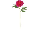 【ポイント2倍★22日20:00〜27日9:59迄】【お取り寄せ】YDM 造花 シングルピオニー ビューティー 花材 造花 アーティフィシャルフラワー 花 フラ...