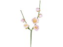 【レビュー投稿で100円OFFクーポン】【お取り寄せ】YDM 造花 ウメピック 花材 造花 花 フラワーアレンジメント材料
