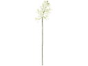 【レビュー投稿で100円OFFクーポン】【お取り寄せ】東京堂 造花 ルシアファレノ #1 WHITE ホワイト インテリア 枯れない 観葉植物 花材 フラワーアレンジメント フェイクフラワー 店舗装飾 花材 造花 花 フラワーアレンジメント材料