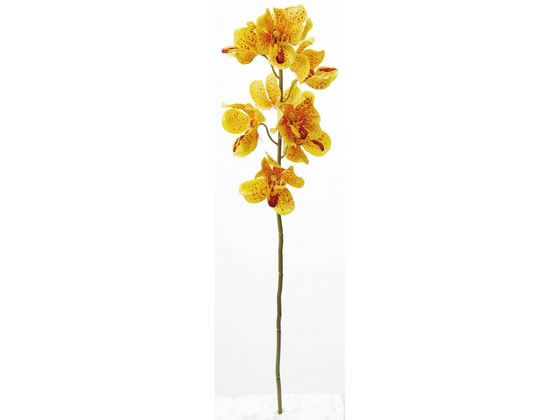 【レビュー投稿で100円OFFクーポン】【お取り寄せ】YDM 造花 オーキッド イエロー インテリア 枯れない 観葉植物 花材 フラワーアレンジメント フェイクフラワー フェイクグリーン 店舗装飾 花材 造花 花 フラワーアレンジメント材料