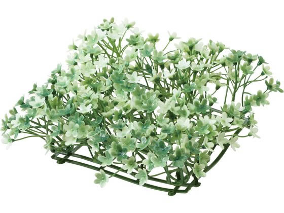 ڥѡSALE2,000ߥݥ119:59ݥ2ܡ ڤ󤻡YDM ¤ ߥåߥ˥꡼ޥå ۥ磻ȥ꡼ դ ꡼ ¤  ե󥸥Ⱥ