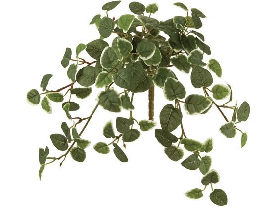 【お取り寄せ】東京堂 造花 プミラバイン GREEN インテリア 枯れない 観葉植物 花材 フラワー
