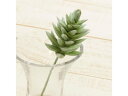 【お取り寄せ】YDM 造花 カメレオンカクタスピック グリーン 葉もの グリーン 造花 アーティフィシャルフラワー 花 フラワーアレンジメント材料