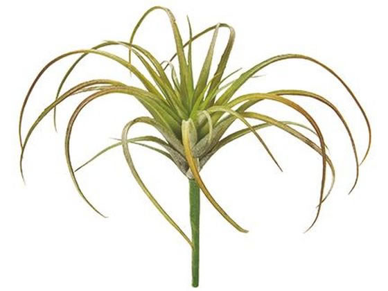 【ブラックフライデー限定★27日9:59迄店内ポイント2倍】【お取り寄せ】東京堂 造花 エアプランツ #25 PK GR インテリア 枯れない 観葉植物 花材 フラワーアレンジメント フェイクグリーン 店舗装飾 葉もの グリーン 造花 花 フラワーアレンジメント材料