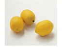 【スーパーSALE★クーポン&11日9:59迄ポイント2倍】 【お取り寄せ】東京堂 造花 フレッシュレモン YELLOW 3コ インテリア 花材 フラワーアレンジメント 店舗装飾 フェイクフルーツ 造花実物 実もの フェイクフルーツ 造花 花 フラワーアレンジメント材料