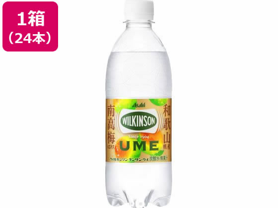 Ұ 륭󥽥󥿥󥵥  500ml24