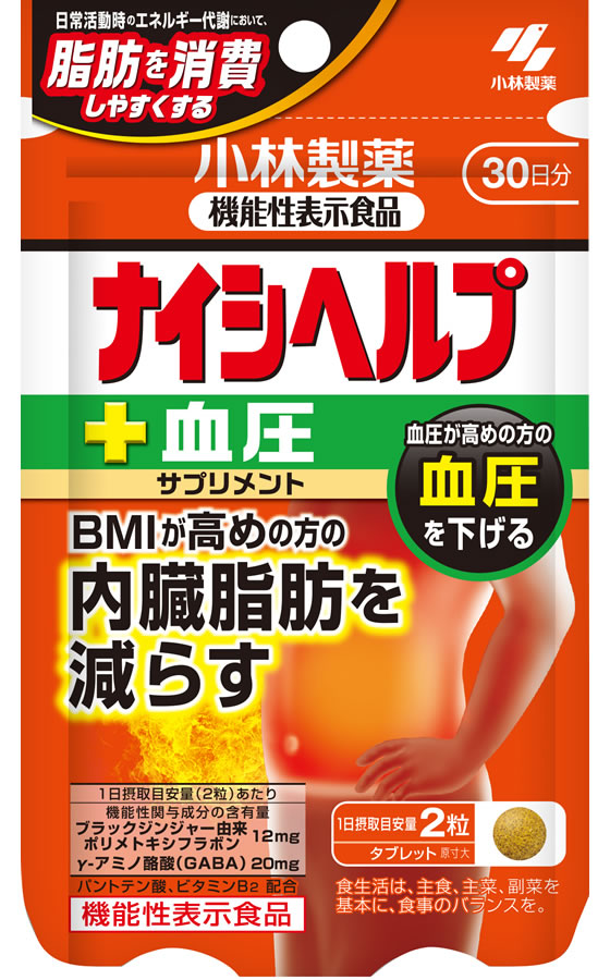 【レビュー投稿で100円OFFクーポン】【お取り寄せ】小林製薬 小林ナイシヘルプ プ...