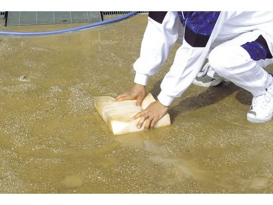 �ڥ�ӥ塼��Ƥ�100��OFF�����ݥ�ۡڤ����󤻡ۥ���� �ۿ她�ݥ� 250 D142