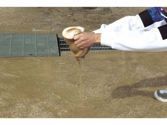 【レビュー投稿で100円OFFクーポン】【送料無料】【お取り寄せ】ダンノ 吸水スポン...