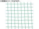 送料無料 【お取り寄せ】ダンノ ハンドボール フットサルゴールネット ハンドボール216 D6600 トレーニング器具 スポーツケア 競技備品 スポーツ