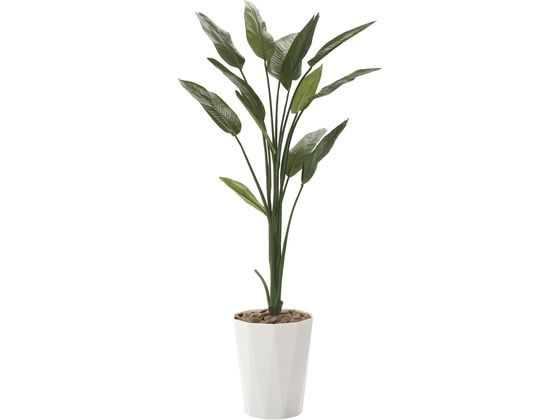 【メーカー直送】アートクリエイション ストレチア 高さ1.6m 61280019【代引不可】