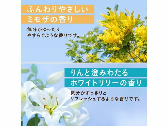 【レビュー投稿で100円OFFクーポン】 アース製薬 温泡 フローラルシーン 12錠 入浴...