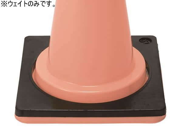 【レビュー投稿で100円OFFクーポン】【お取り寄せ】エバニュー ポストウェイト ST EKA796