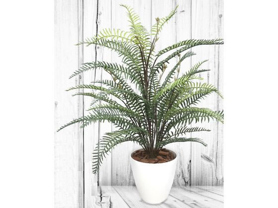 【レビュー投稿で100円OFFクーポン】【メーカー直送】ササガワ 人工観葉植物 タマシダ Mサイズ 高さ100cm【代引不可】人工植物 フェイクグリーン エントランス インフォメーション オフィス家具