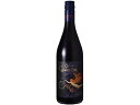 【お取り寄せ】ワイントゥスタイル サイクルズ・グラディエーター ピノ・ノワール 赤 750ml アメリカ 赤ワイン お酒