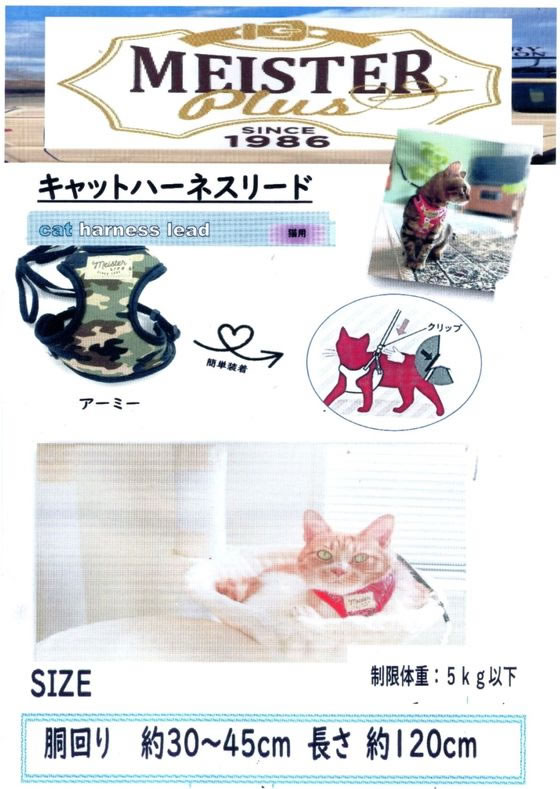 サンプル画像2
