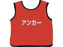【スーパーSALE★クーポン&11日9:59迄ポイント2倍】 【お取り寄せ】エバニュー メッシュビブス アンカー Jr EKB930-100 トレーニング器具 スポーツケア 競技備品 スポーツ