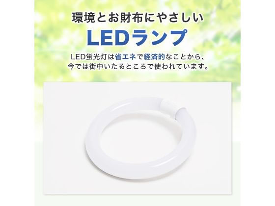 【レビュー投稿で100円OFFクーポン】【お取り寄せ】エコデバイス LEDサークルラン...