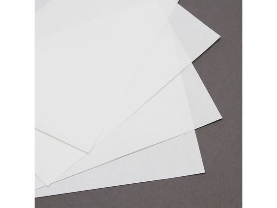 ڥӥ塼Ƥ100OFFݥ̵ ڤ󤻡ۥإ  ϻȽ[43] 4 1000 002100102   åԥ