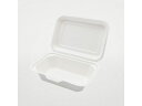 【お取り寄せ】パックスタイル バガス容器 ABランチ 180-130 50枚 ランチボックス テイクアウト 使いきり食器 キッチン テーブル