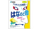 【レビュー投稿で100円OFFクーポン】浅田飴 はなのど飴 60g のど飴 飴 グミ タブレット お菓子