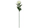 【レビュー投稿で100円OFFクーポン】【お取り寄せ】東京堂 山科菊 ホワイト #1 WHITE FM0F4050-001 花材 造花 アーティフィシャルフラワー 花 フラワーアレンジメント材料