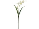 【レビュー投稿で100円OFFクーポン】【お取り寄せ】東京堂 マリナフリージア #1 CREAM クリーム FM001832-001 花材 造花 アーティフィシャルフラワー 花 フラワーアレンジメント材料