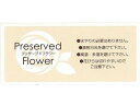 【お取り寄せ】松村工芸 インストラクションシールIS-1 50マイ/102-2101-0 花材 プリザーブドフラワー 花 フラワーアレンジメント材料