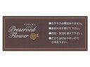 【お取り寄せ】松村工芸 インストラクションシールIS-2 50マイ/102-2102-0 花材 プリザーブドフラワー 花 フラワーアレンジメント材料