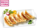 【店内全品ポイント2倍★16日9:59迄】 【メーカー直送】アイエスワイ 浜松餃子 45個 9637-010【代引不可】 惣菜 お取り寄せ お取り寄せグルメ