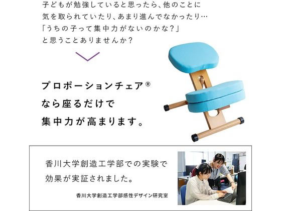 【マラソン限定★2,000円クーポン＆ポイント2倍】【メーカー直送】宮武製作所 クッ...