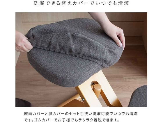 【レビュー投稿で100円OFFクーポン】【メーカー直送】宮武製作所 プロポーションチ...