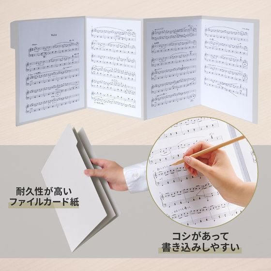 �ڳ�ŷ�����ѡ�SALE������ݥ����2�ܡ�2,000�ߥ����ݥ�ۥץ饹 ������� A4 10��ѥå� ���졼 78531 FL-061G ���� ��Ƹ�� ��ư ���� ��Ƹ