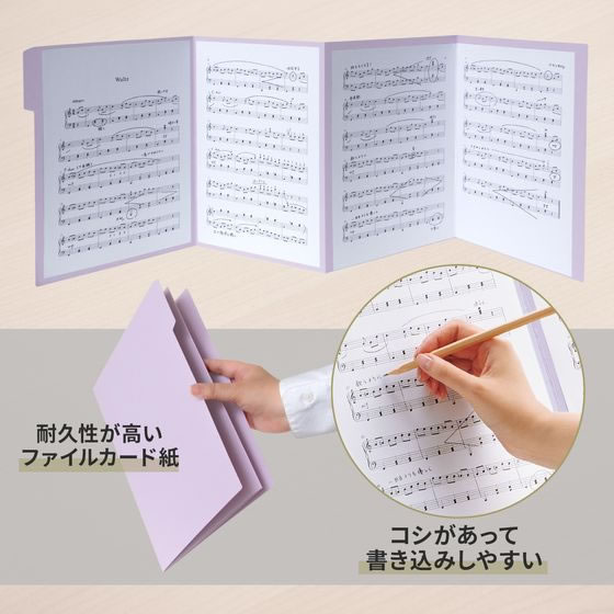 �ڳ�ŷ�����ѡ�SALE������ݥ����2�ܡ�2,000�ߥ����ݥ�ۡڤ����󤻡ۥץ饹 ������� A4 10��ѥå� �Х�����å� 78533 FL-061G ���� ��Ƹ�� ��ư ���� ��Ƹ